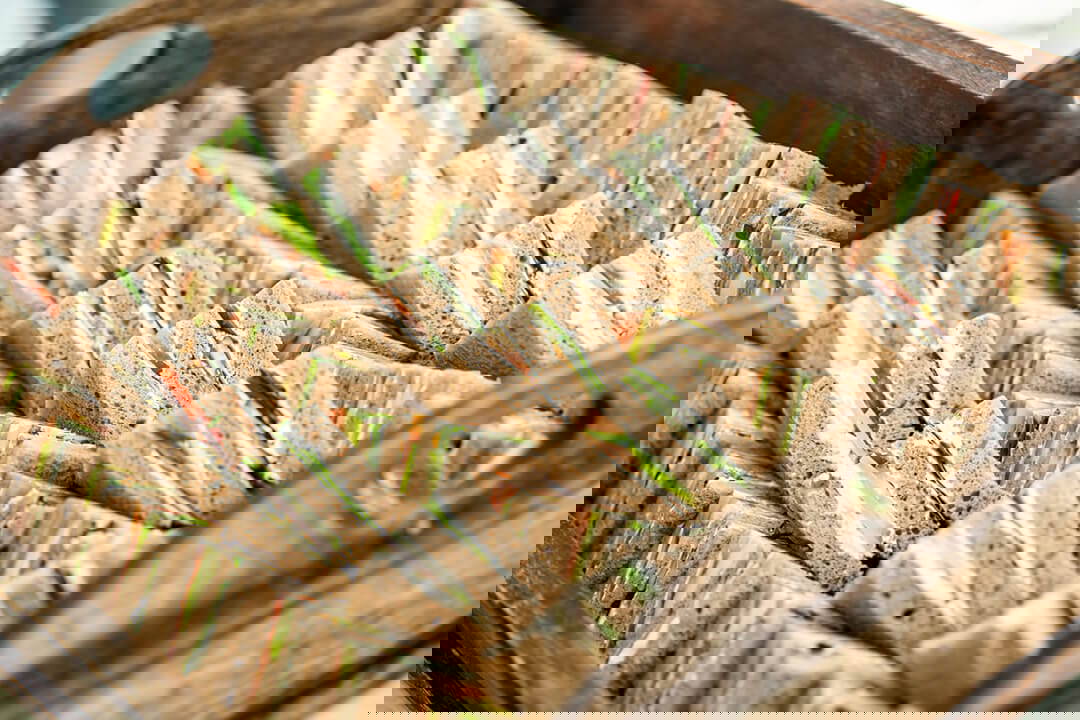 Olive Tree Catering The Bay's Compassionate, Caring, Food Caterers